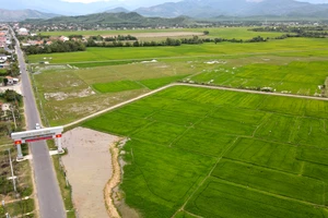 Khánh Hòa được phép chuyển đổi dưới 500 ha đất trồng lúa