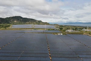 3 giải pháp để Ninh Thuận thành trung tâm năng lượng tái tạo