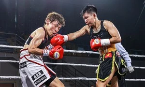 Doanh nghiệp muốn tổ chức giải quyền anh quốc tế nhà nghề ở Khánh Hòa