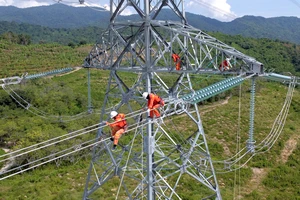 Diễn tập phòng chống thiên tai tại đường dây 500 kV Vân Phong - Thuận Nam