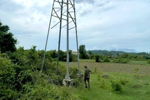 Báo động tình trạng tháo trộm thanh giằng trụ điện cao thế ở Khánh Hòa