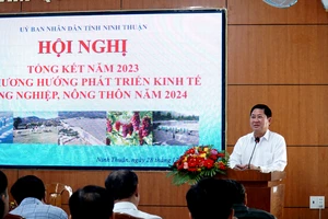 Trồng dưa lưới, nho công nghệ cao ở Ninh Thuận đạt 1,2 tỉ đồng/ha/năm