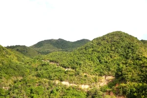 Diễn biến mới vụ Sở TN&MT Khánh Hòa đề xuất hủy quyết định cho doanh nghiệp thuê đất