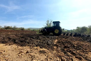 Ninh Thuận: Xử lý bãi đổ vỏ nha đam gây mùi hôi thối