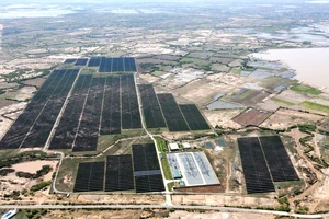 Một số tổ chức, cá nhân ở Ninh Thuận bị kỷ luật liên quan các dự án điện gió, mặt trời