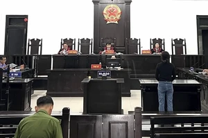 Điều tra lại vụ kết tội người bệnh tâm thần