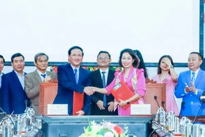 Bình Định và Vingroup hợp tác toàn diện về chuyển đổi xanh