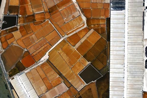 Những sắc màu sặc sỡ trên cánh đồng muối ở Ninh Thuận