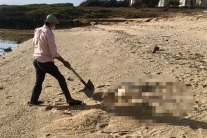 Thi thể nữ giới dạt vào bờ biển Ninh Thuận 