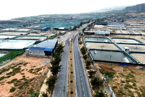 Ninh Thuận đẩy nhanh tiến độ giải phóng mặt bằng cho dự án điện hạt nhân