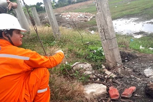 Người chăn cừu bị điện giật tử vong khi cầm vào dây cáp viễn thông