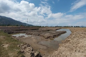 Kỷ luật nguyên phó thanh tra huyện kê khai không trung thực liên quan đất đai