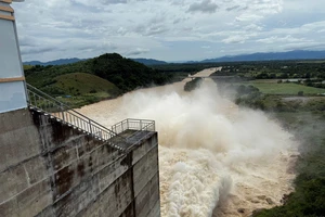 Hồ Sông Cái xả lũ, cảnh báo ngập lụt khu vực Phan Rang 