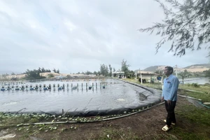 HĐXX án hình sự có quyền tuyên hủy giấy chứng nhận quyền sử dụng đất?