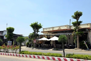 Xử lý vụ tỉa nhánh 'quá tay' khiến hàng cây xanh bị cắt trụi