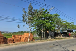 Thu hồi dự án chợ Xuân Hải 10 năm vẫn là bãi đất trống