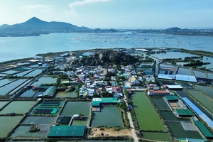 Khu du lịch quốc gia Ninh Chử là động lực phát triển phía nam Khánh Hòa