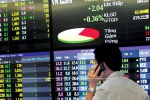 Ảnh minh họa (Nguồn DNSG)