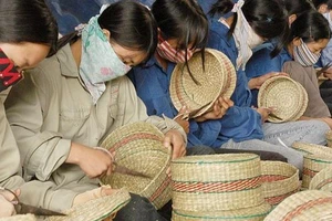 DN siêu nhỏ được 'cởi trói', không phải lập báo cáo tài chính