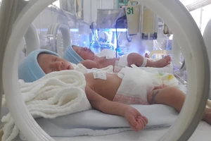 Cặp song sinh sẽ gọi mẹ đẻ là cô