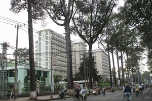 Chủ tịch Hội Nông dân bị con nghiện chém được theo dõi tại BV Chợ Rẫy