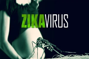 Thêm 3 người mắc Zika tại TP.HCM