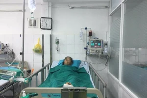 Đút rơm cho bò ăn, cụ bà bị gãy 8 xương sườn