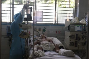 Bị chó con cào nhẹ, dính luôn bệnh dại nguy kịch