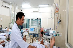 Bác sĩ bị cây phượng 40 năm tuổi đè nguy kịch