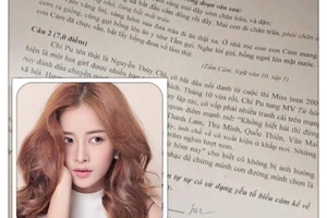 Giáo viên giải thích việc đưa Chi Pu vào đề thi học kỳ 