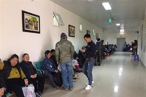 'Chưa chết vì ung thư đã chết vì lạnh và chờ đợi!'