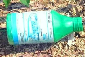 Diễn biến mới vụ 4 nữ sinh thách nhau uống thuốc diệt cỏ 