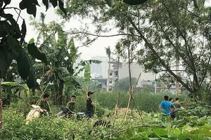 Kinh hãi thi thể đang phân huỷ trong bụi chuối