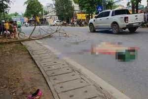 Bị cành cây gãy đè trúng, người chồng trẻ tử vong thương tâm