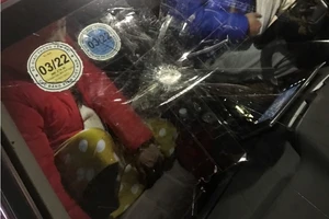 5 học sinh cầm đá lên cao tốc ném bể kính ô tô 