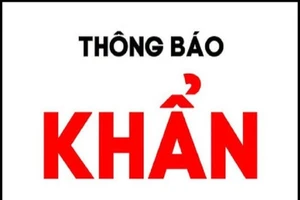 Thông báo khẩn của Bộ Y tế tối 29-1