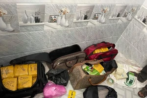 Đường dây ma túy có dấu hiệu chuyển 600 tỉ ra nước ngoài