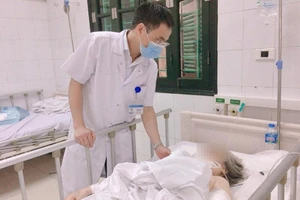 Chó Bully nặng 30kg tấn công, cụ bà 87 tuổi phải cắt cụt tay