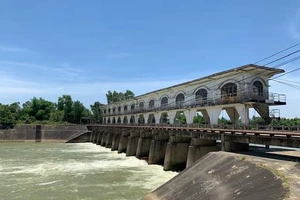 Về đập An Trạch săn cá mòi nhảy nước ngược