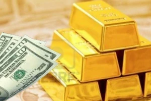 Vì sao UBND TP.HCM chưa trả lại 10 kg vàng cho dân