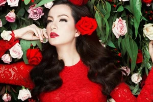 Vụ siêu mẫu Ngọc Thúy kiện: Người trong cuộc nói gì?