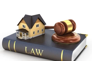 Kiện chủ tịch quận vì không giải quyết khiếu nại đòi đất