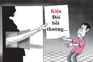 Dì kiện cháu yêu cầu bồi thường tổn thất về tinh thần