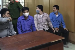 Đường dây sản xuất thuốc bảo vệ thực vật giả hầu toà