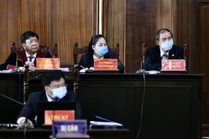 Lập luận của luật sư bà Dương Thị Bạch Diệp 