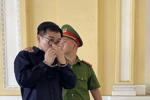 Trùm trốn truy nã lãnh án, đồng phạm giúp sức được trả tự do