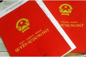 Kháng cáo đòi xem xét việc giao đất công có đúng luật không