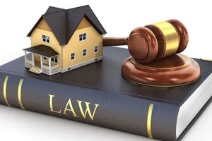 Kiện vì cho rằng bị dụ dỗ, lừa dối làm đám cưới, sinh con 