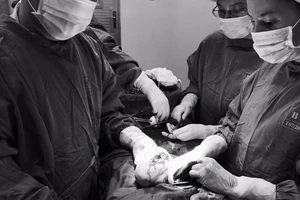 Vỡ òa vì mẹ và con bị sốt xuất huyết nặng cùng được cứu