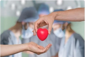 Những điều cần biết khi muốn hiến tạng